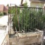 Le mur est coulé !