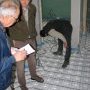 Mesure des hauteurs sous les piges